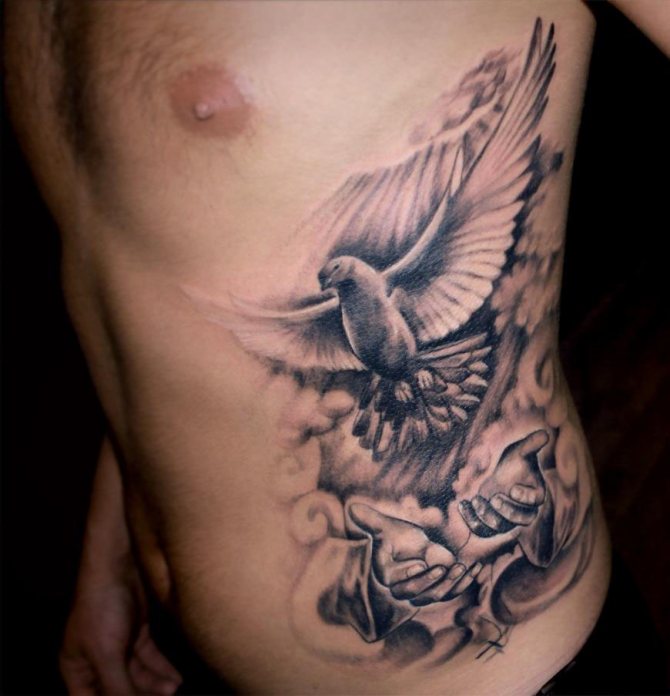 Galamb tetoválás a férfi oldalon