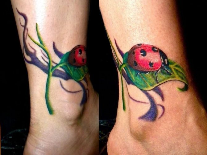 Ladybird nilkka tatuointi