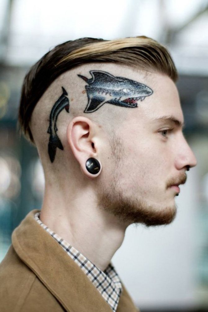 男の頭にサメのタトゥー