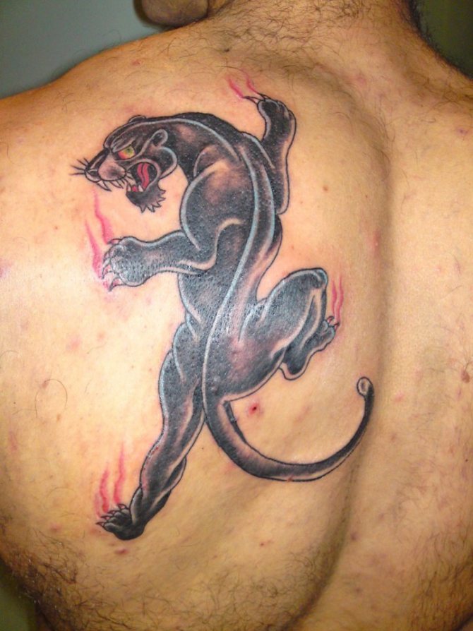 Tatuaj cu o panteră pe omoplatul unui bărbat