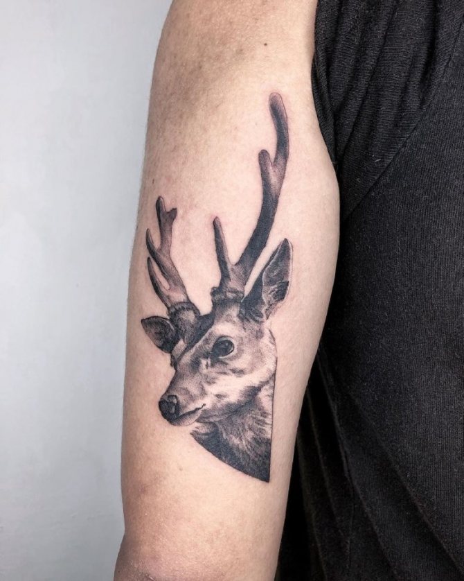 Значение на татуировката на елен