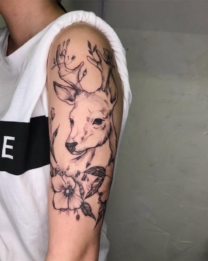 hirvi tatuointi
