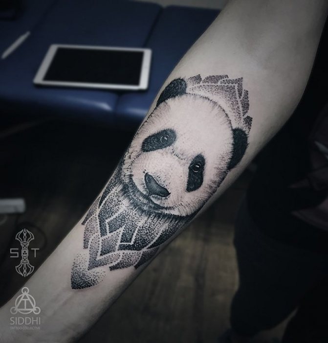 panda dotwork tatovering på underarm