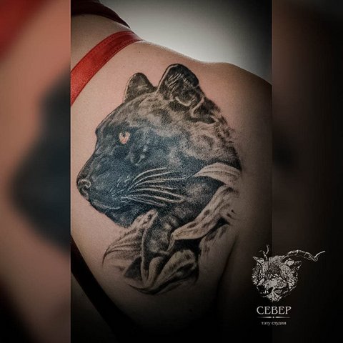 Panther tatuaj pe claviculă