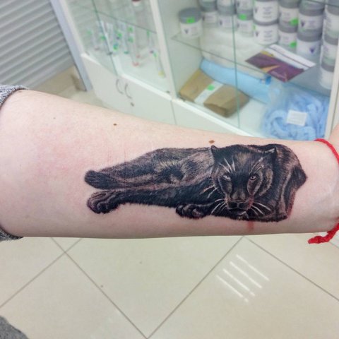 Panther tatuaj pe antebraț