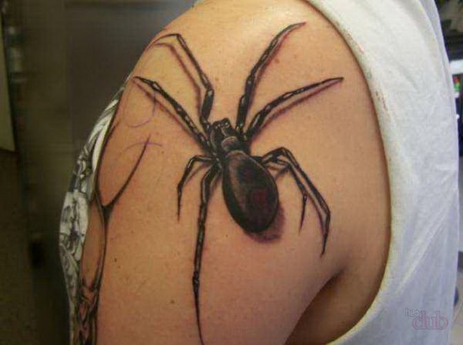 juodos spalvos voras tatuiruotė ant peties realizmas