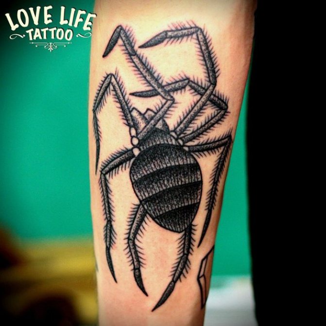 Spider dotwork tattoo op onderarm