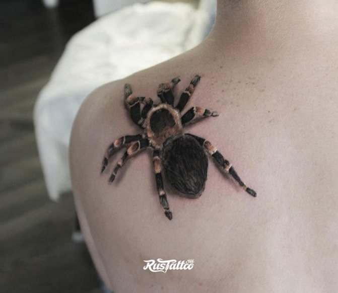Realismi hämähäkki tatuointi selässä