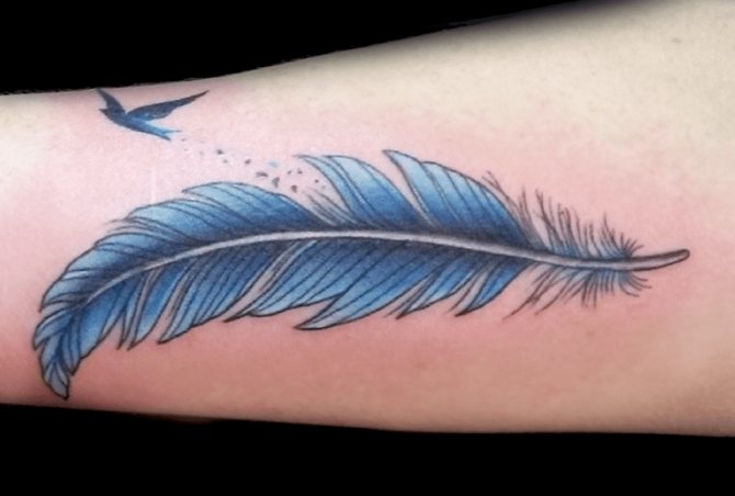 plunksnų tatuiruotė