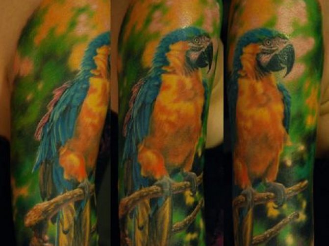 Tatuagem de um papagaio