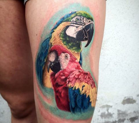 Tatuagem do papagaio nas pernas