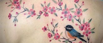 Tatuagem com uma cerejeira e um pássaro
