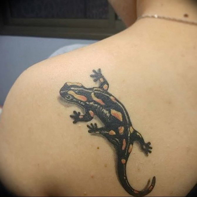 Salamandra realistica tatuata sulla schiena
