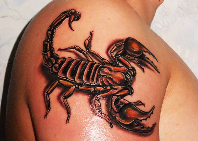 Skorpiono tatuiruotė. Ką jie reiškia, eskizas ant peties, rankos, kaklo, krūtinės