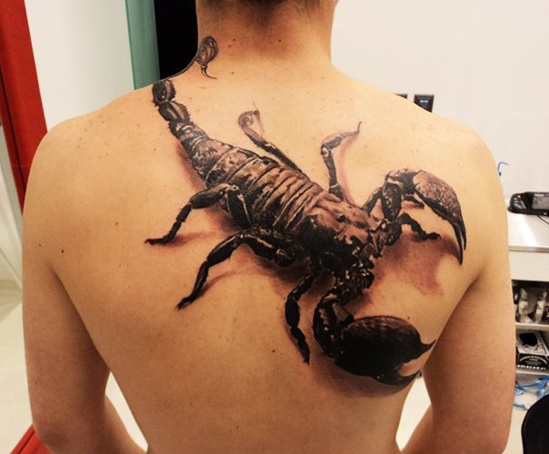 蝎子的纹身。他们的意思是，在肩部、手臂、颈部、胸部画素描