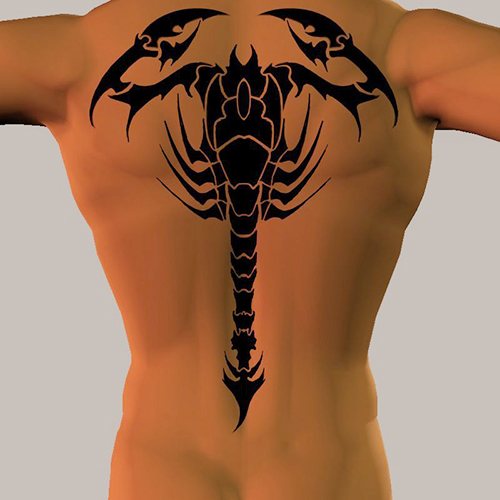 蝎子的纹身。这意味着什么，在肩部、手臂、颈部、胸部画素描
