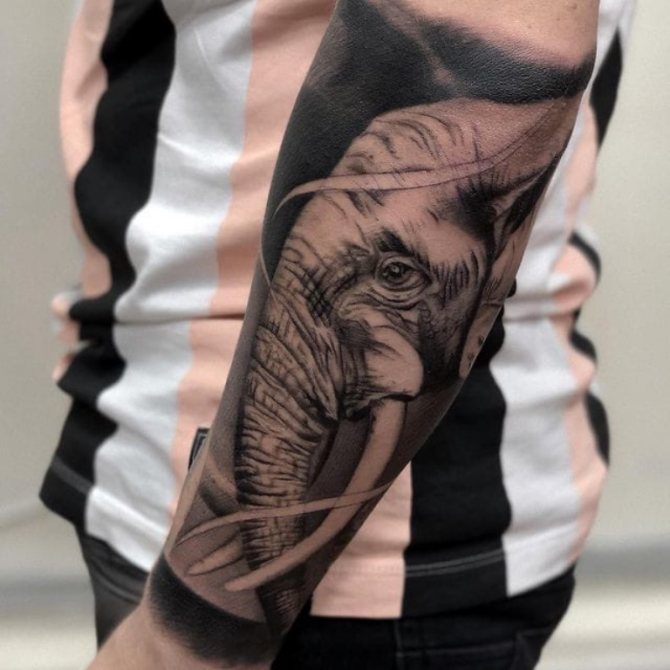 татуировка със слон на ръката му