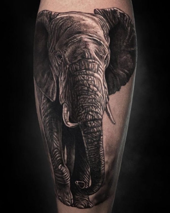 significado de tatuagem de elefante