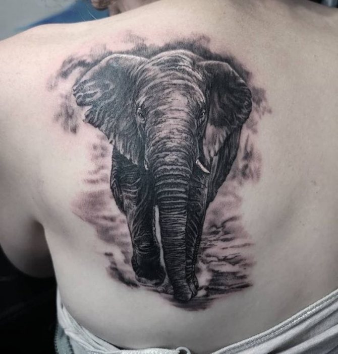 tatouage d'éléphant