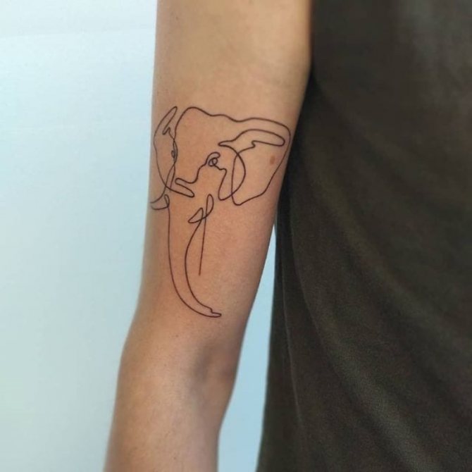 татуировка на слон