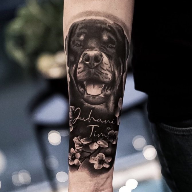 νόημα τατουάζ σκύλου