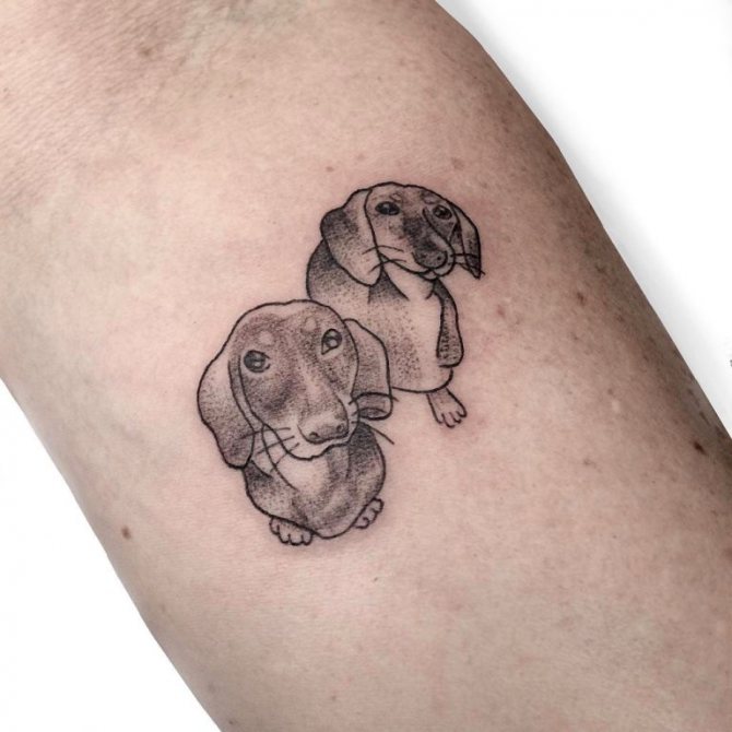 τατουάζ σκύλου