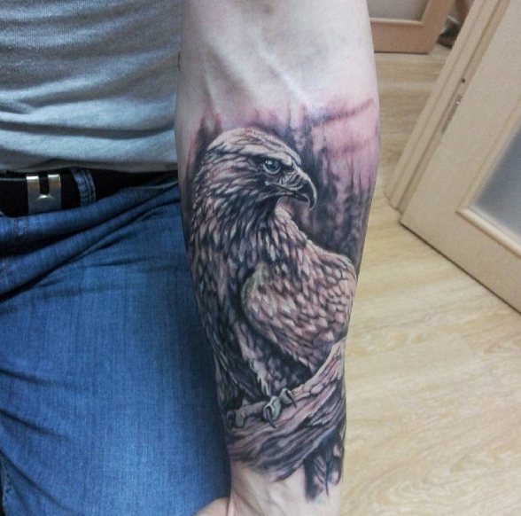 Tatuagem de falcão a preto e branco