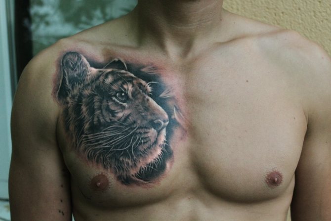 tatouage d'un tigre
