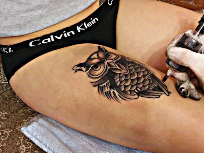 Tatuointi pöllön muodossa