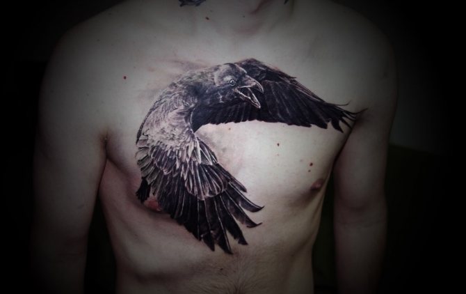 Egy holló tetoválása a férfi mellkasán