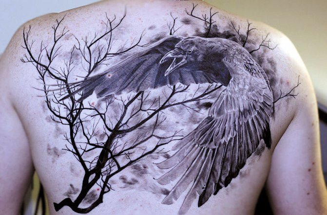 Tatuagem de um corvo