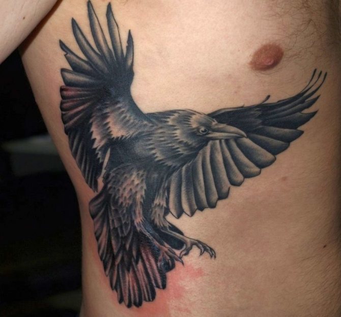Tatuagem - corvo ao lado