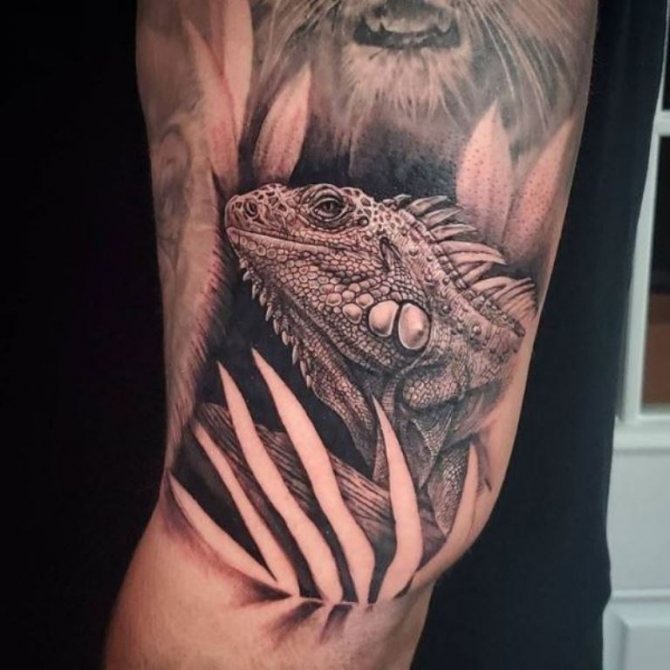tatuaj de o șopârlă