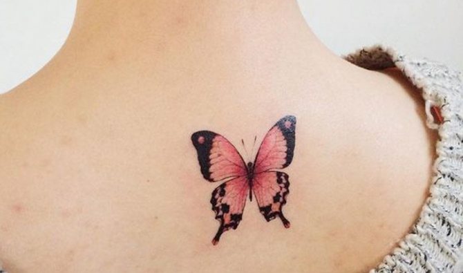 vlinder tatoeage betekenis