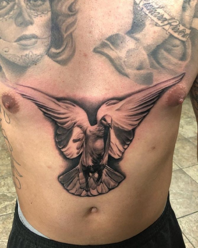 tatoeages van duiven
