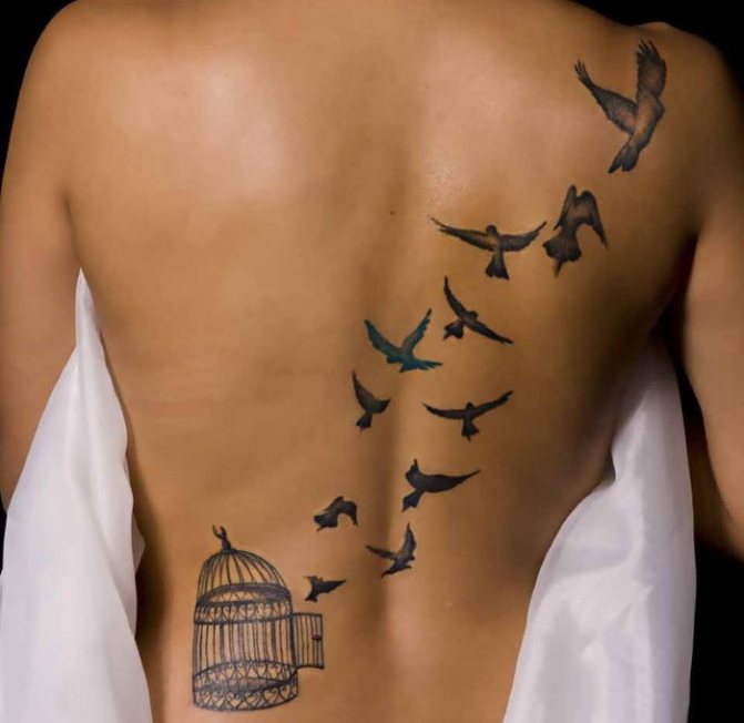 Tatoveringer på rygsøjlen (ryggen) hos piger: hieroglyffer, inskriptioner med oversættelse, blomster, prik, runer, planeter, linjer. Smukke designs