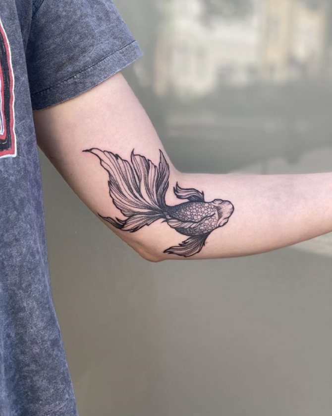 tatuaje de pește