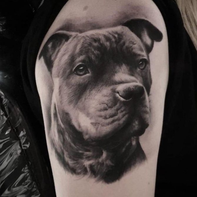 狗纹身