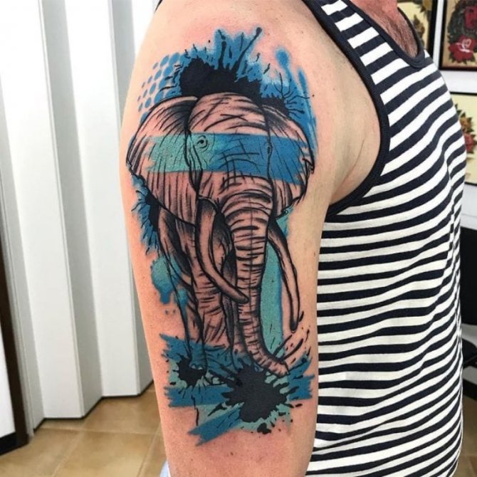 elefant tatuaje