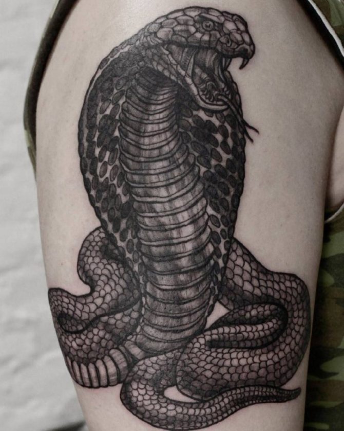 käärme tatuoinnit