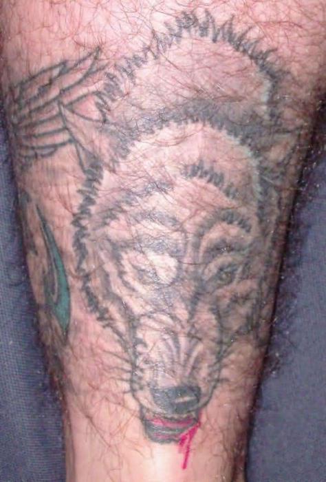 έννοια της φυλακής του τατουάζ λύκου