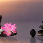 Zen-læren: en gren af den religiøse filosofi kaldet buddhisme
