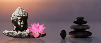 Zenin opetukset: uskonnollisen filosofian haara, jota kutsutaan buddhalaisuudeksi.