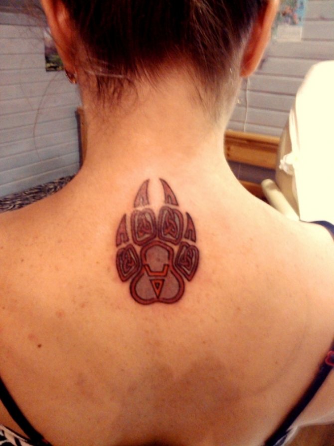 Um selo de Velez, que parece uma pata de urso, também pode ser aplicado como uma tatuagem.