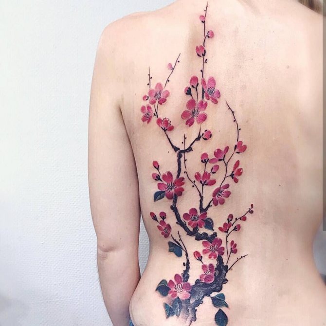 Vetva čerešňového kvetu na ženskom chrbte