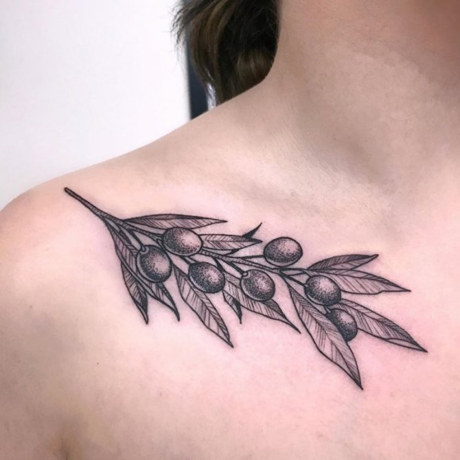 tatuaggio ramo d'ulivo