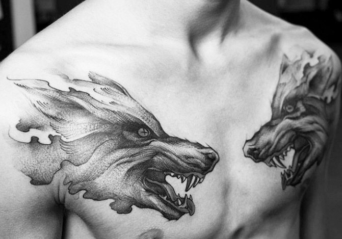 Wolf grijns tattoo. Foto, betekenis op de schouder, onderarm, rug, arm