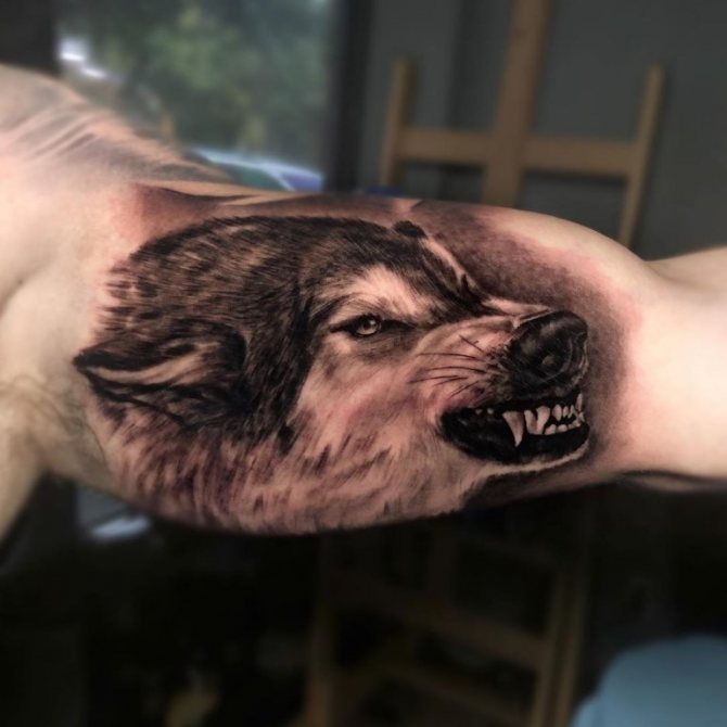 τατουάζ με χαμόγελο λύκου