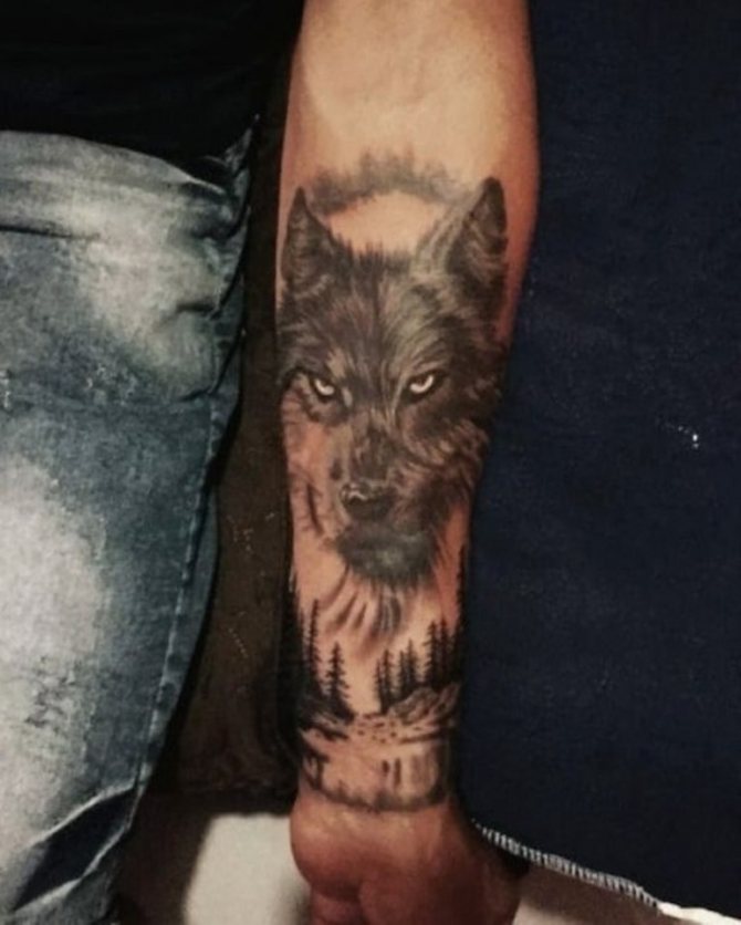 Λύκος στο χέρι