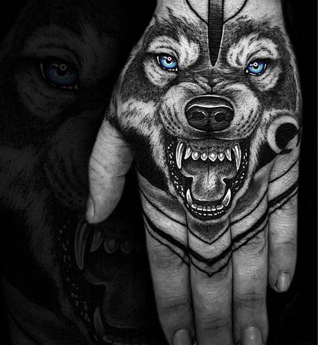 Farkas nyitott szájjal tetoválással. Kép jelentése, kép